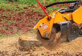 Best Lot and Land Clearing  in Bowleys Quarters, MD