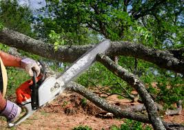 Best Lawn Watering Services  in Bowleys Quarters, MD