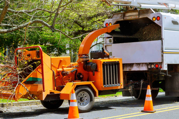 Best Tree Health Inspection  in Bowleys Quarters, MD