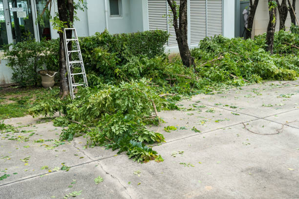 Best Lawn Maintenance Plans  in Bowleys Quarters, MD