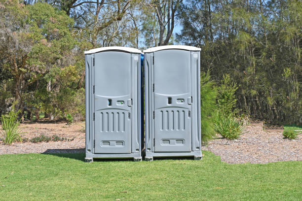 Best Pest Control for Lawns  in Bowleys Quarters, MD